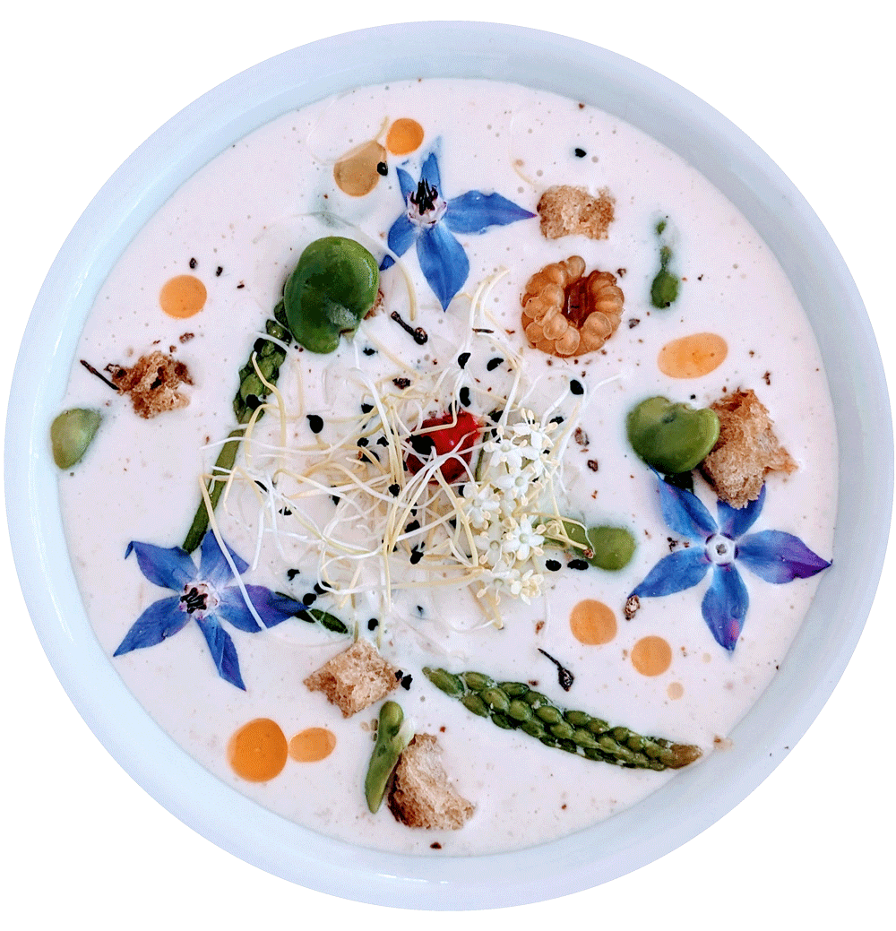 assiette nutritionnistes Nutriocentre